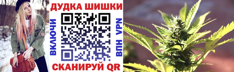 Купить наркотик аптеки Новая Ладога Лсд 25  Мефедрон  Амфетамин  ГАШИШ  Канабис  Псилоцибиновые грибы 