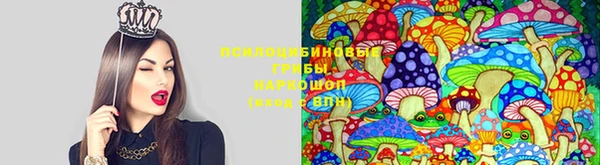 тгк Алексеевка