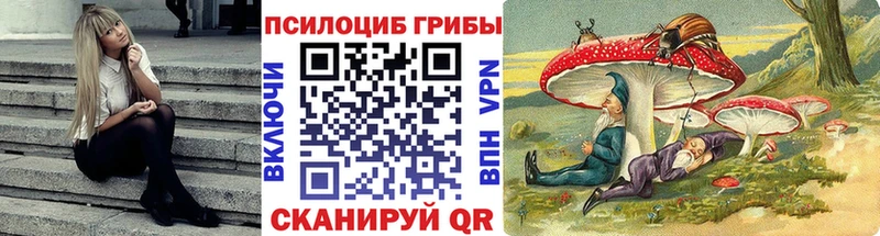 закладка  Новая Ладога  Псилоцибиновые грибы MAGIC MUSHROOMS 